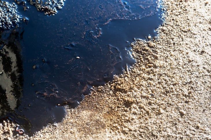A Thousand-Gallon Diesel Spill Has Devastated The Lush B.C. Coast