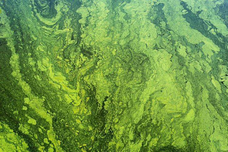 The EPA's Colorado Spill Is Far From Resolved